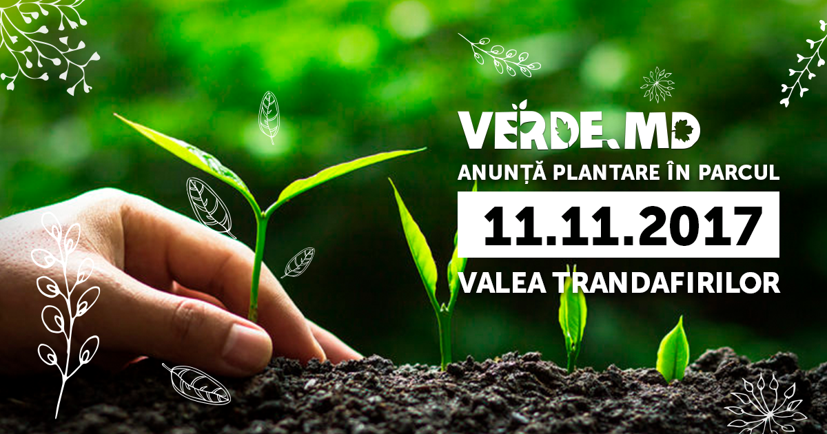 Verde.md: 90 de arbori vor fi sădiți în parcul Valea Trandafirilor