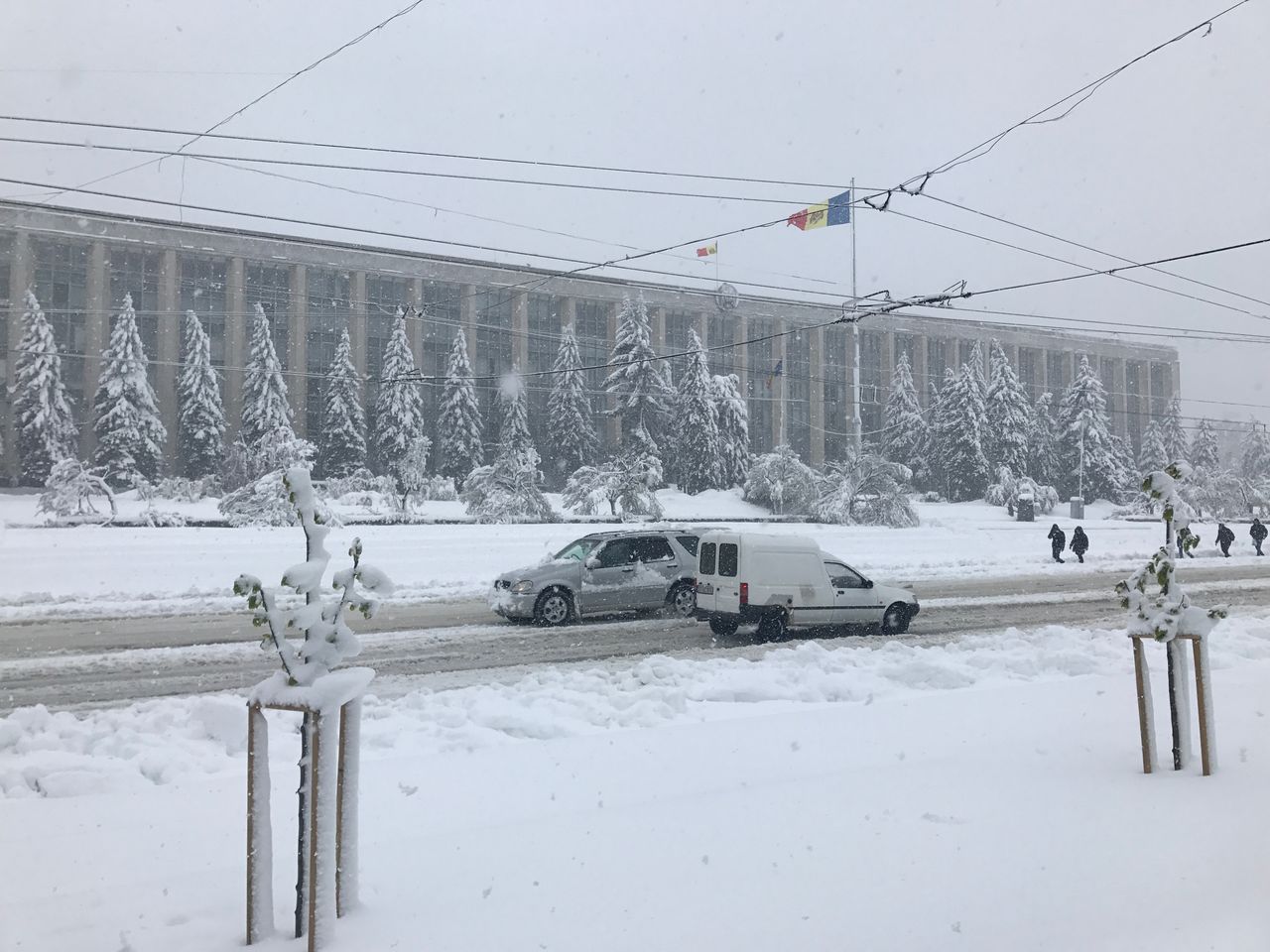 В Кишиневе все улицы стали пешеходными, транспорта почти нет