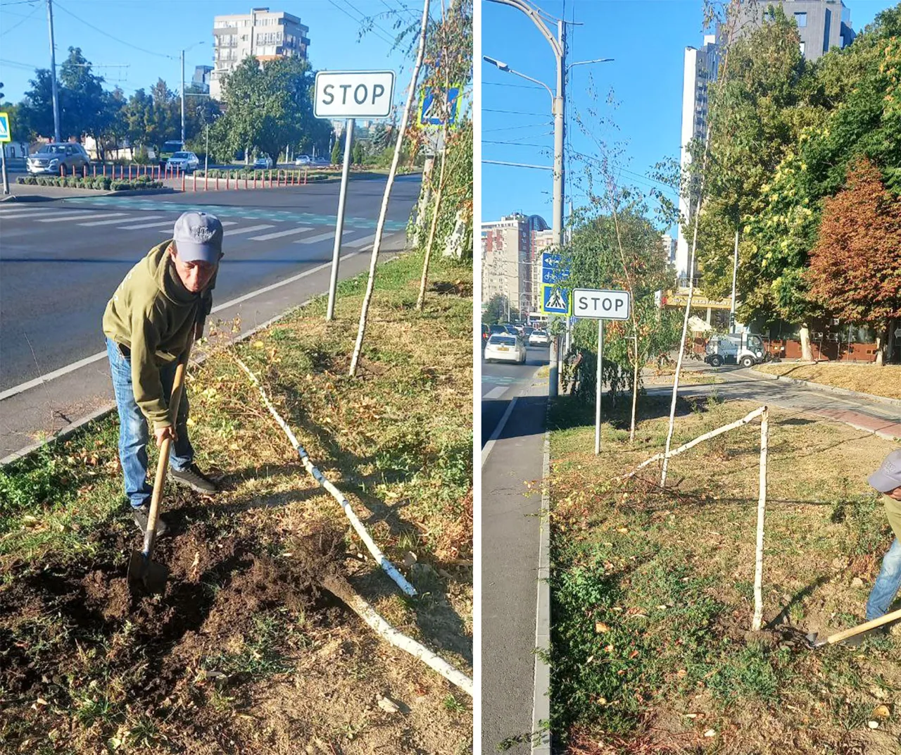 Mai mulți arbori de mesteacăn de pe strada Ciuflea din Capitală au fost rupți