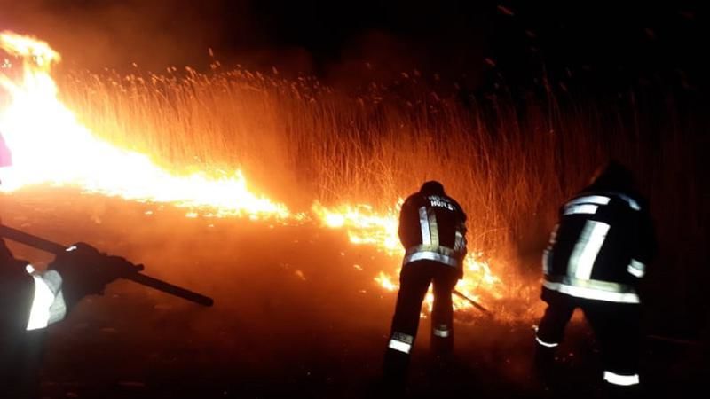 Пожарные потушили более 70 возгораний сухой растительности