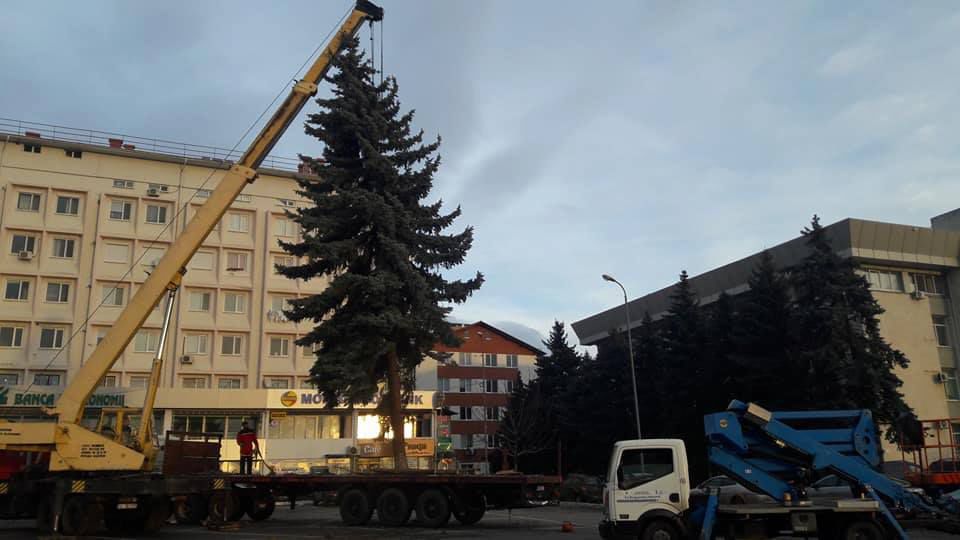В Яловенах установили рождественскую елку