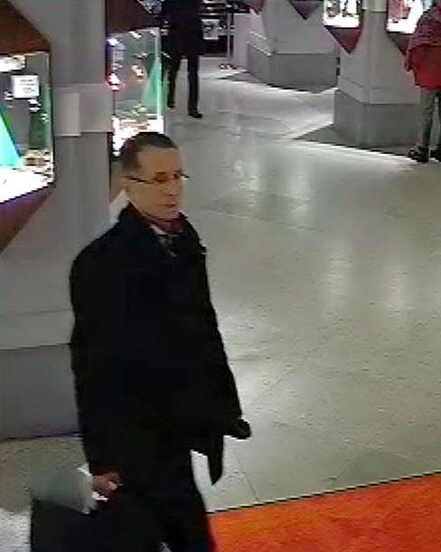 В Вене похитили картину Ренуара