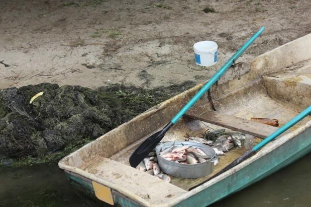 1,4 km de plase și zeci de kilograme de pește, depistate de inspectori la branocnieri pe lacul de acumulare Dubăsari