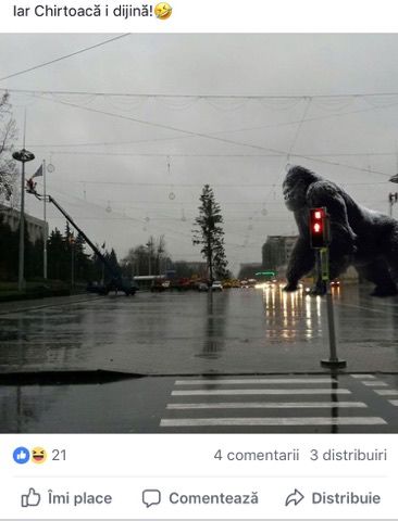 Bradul din PMAN, generator de glume copioase pe Facebook. Cele mai inspirate comentarii
