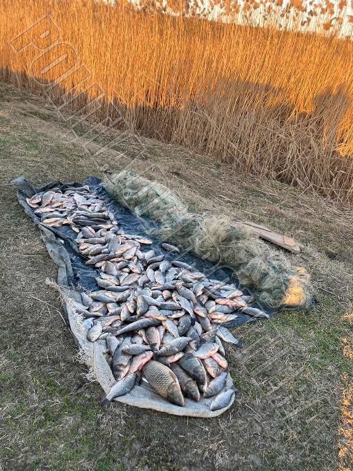 Пограничники оштрафовали двух сельчан за незаконную рыбалку