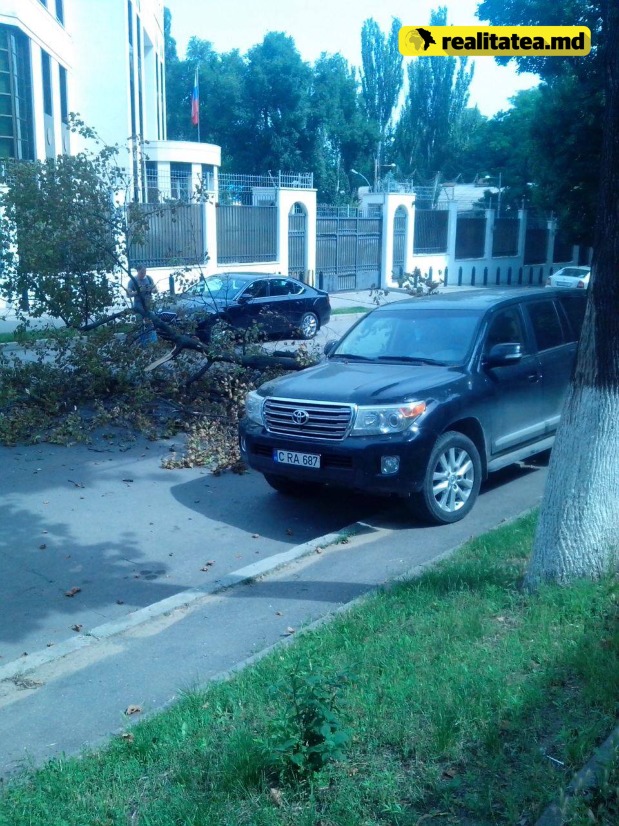 O creangă a căzut peste mașina șefului CFM, Iurie Topală