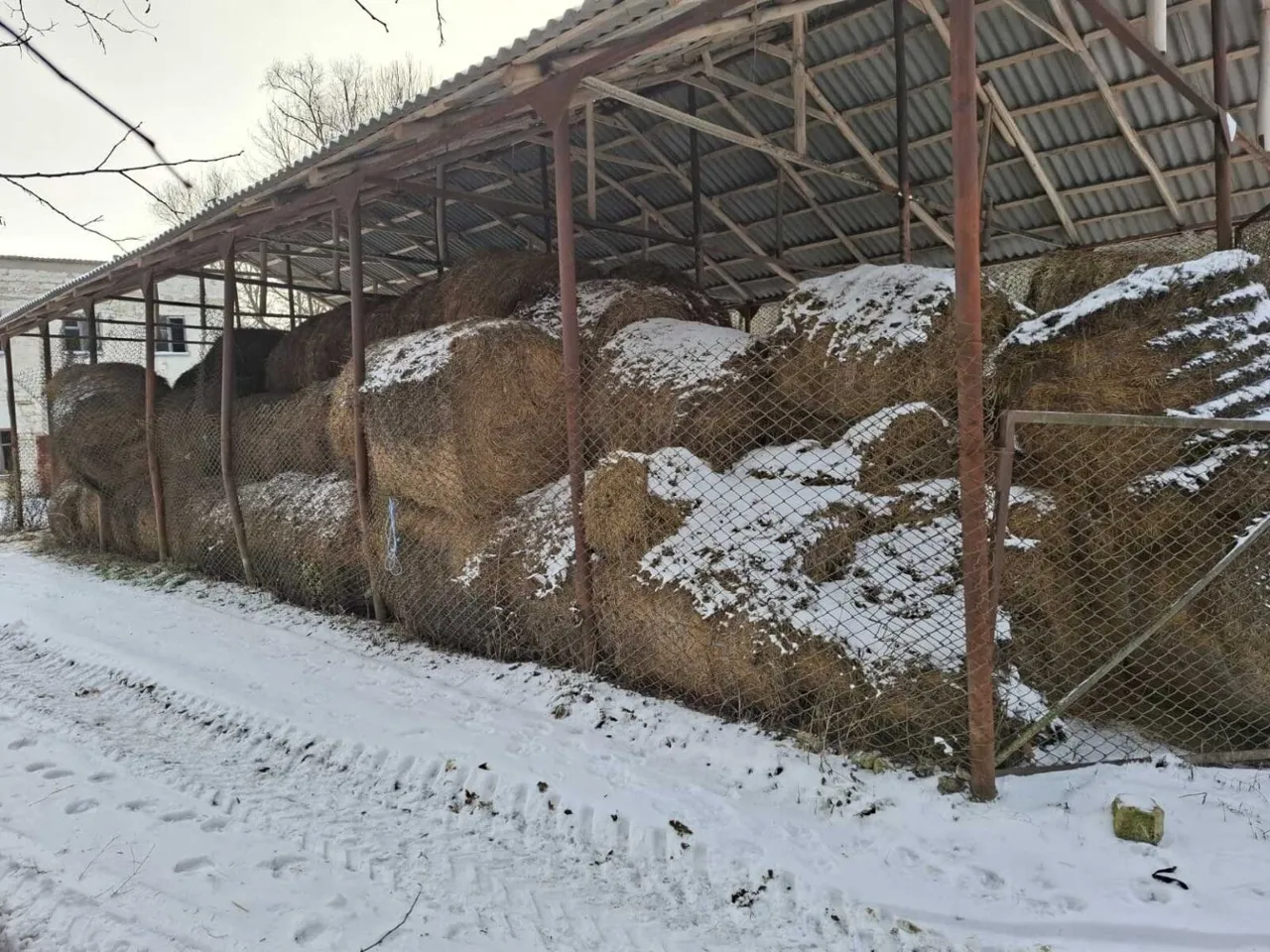 Moldsilva заготовила тонны корма для диких животных