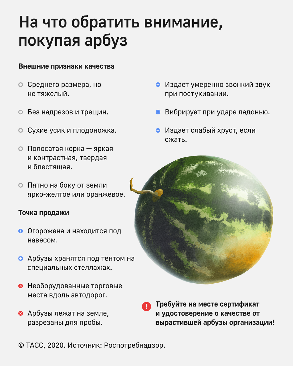 Эксперты дали советы по выбору арбуза