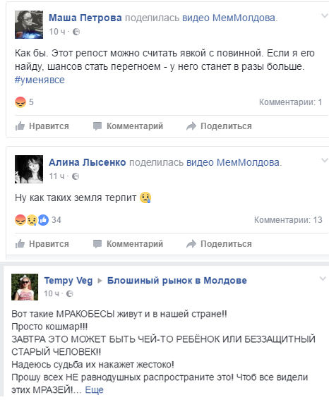 В Сети шокированы убийством котенка жителем Шолданешт