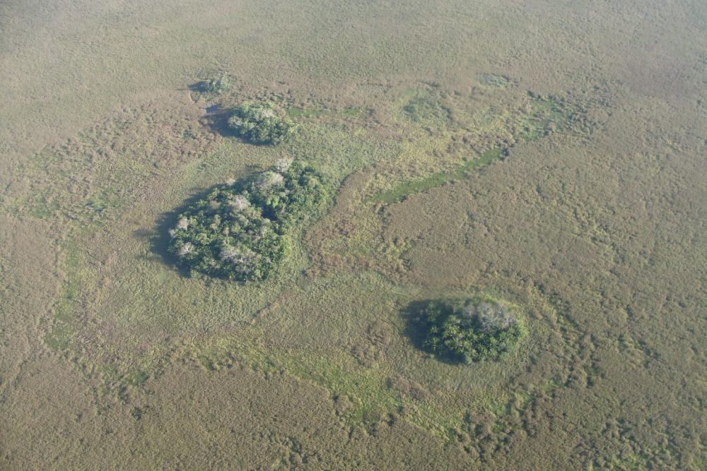 На Амазонке найдены "искусственные острова" возрастом 10000 лет