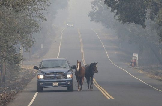 Bilanţul victimelor incendiilor din California a crescut la cel puţin 17 morţi