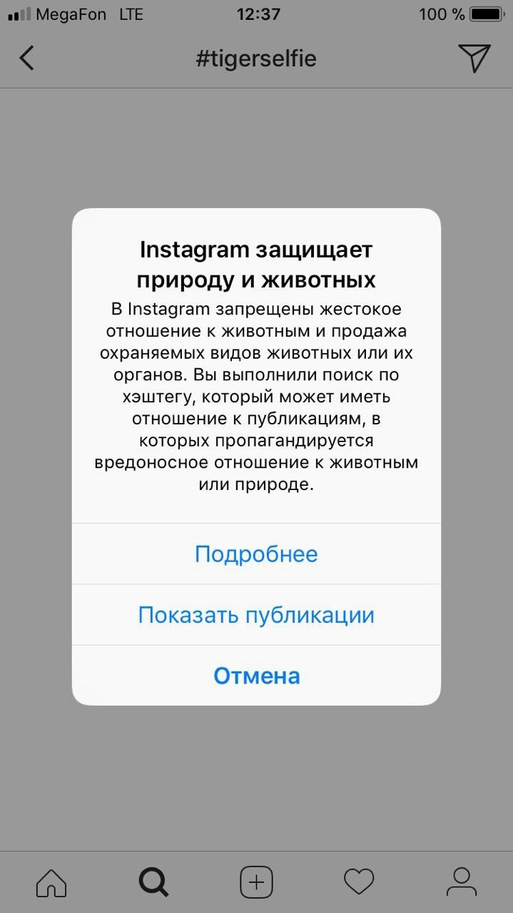 Бан в инстаграме. Предупреждение в инстаграме. Предупреждение о контенте в инстаграме. Блокировка Инстаграм. Запрет инстаграмма.