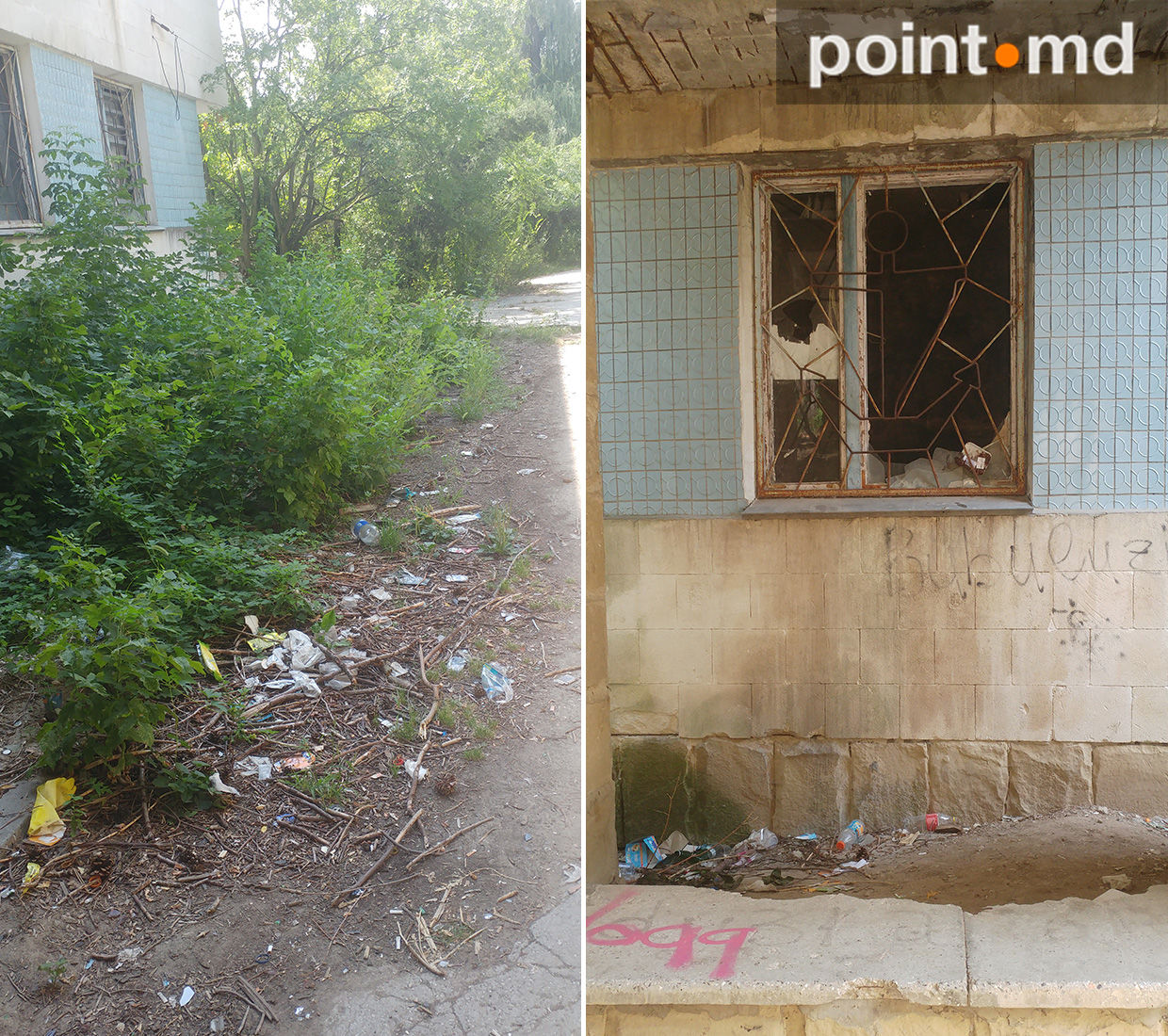 В Долине роз по-прежнему не убраны ветки и полно мусора