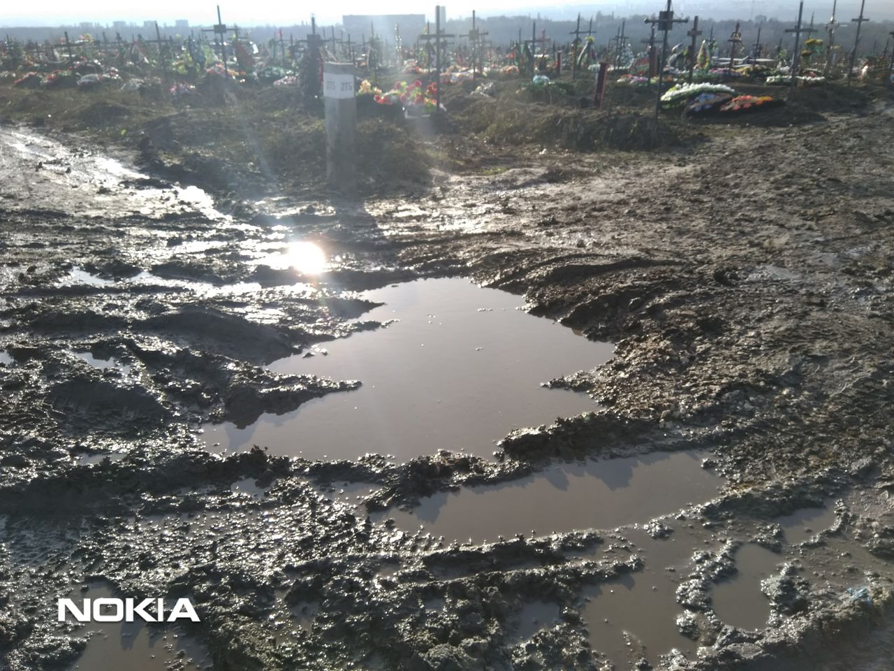 Власти проигнорировали просьбу гражданина, навести порядок на кладбище