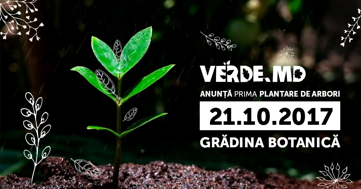Verde.md anunță prima plantare de arbori în Grădina Botanică