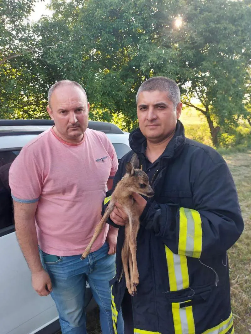 Пожарные спасли из огня детеныша косули