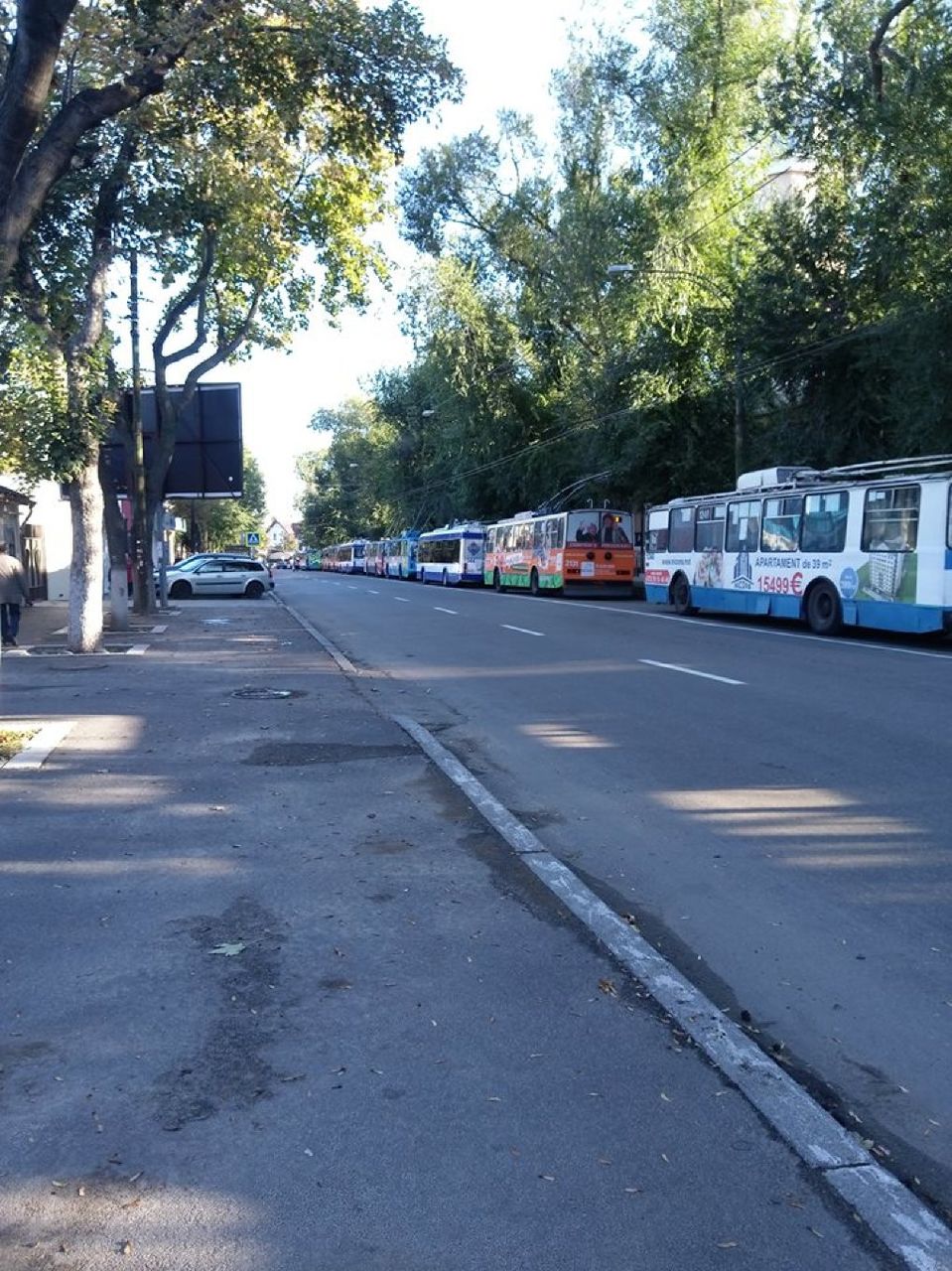 Ошибка водителя троллейбуса заблокировала движение транспорта в одном из секторов столицы