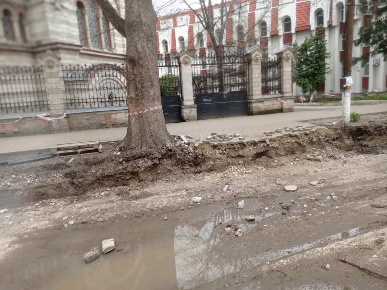 В результате ремонтных работ в центре столицы многие деревья были повреждены