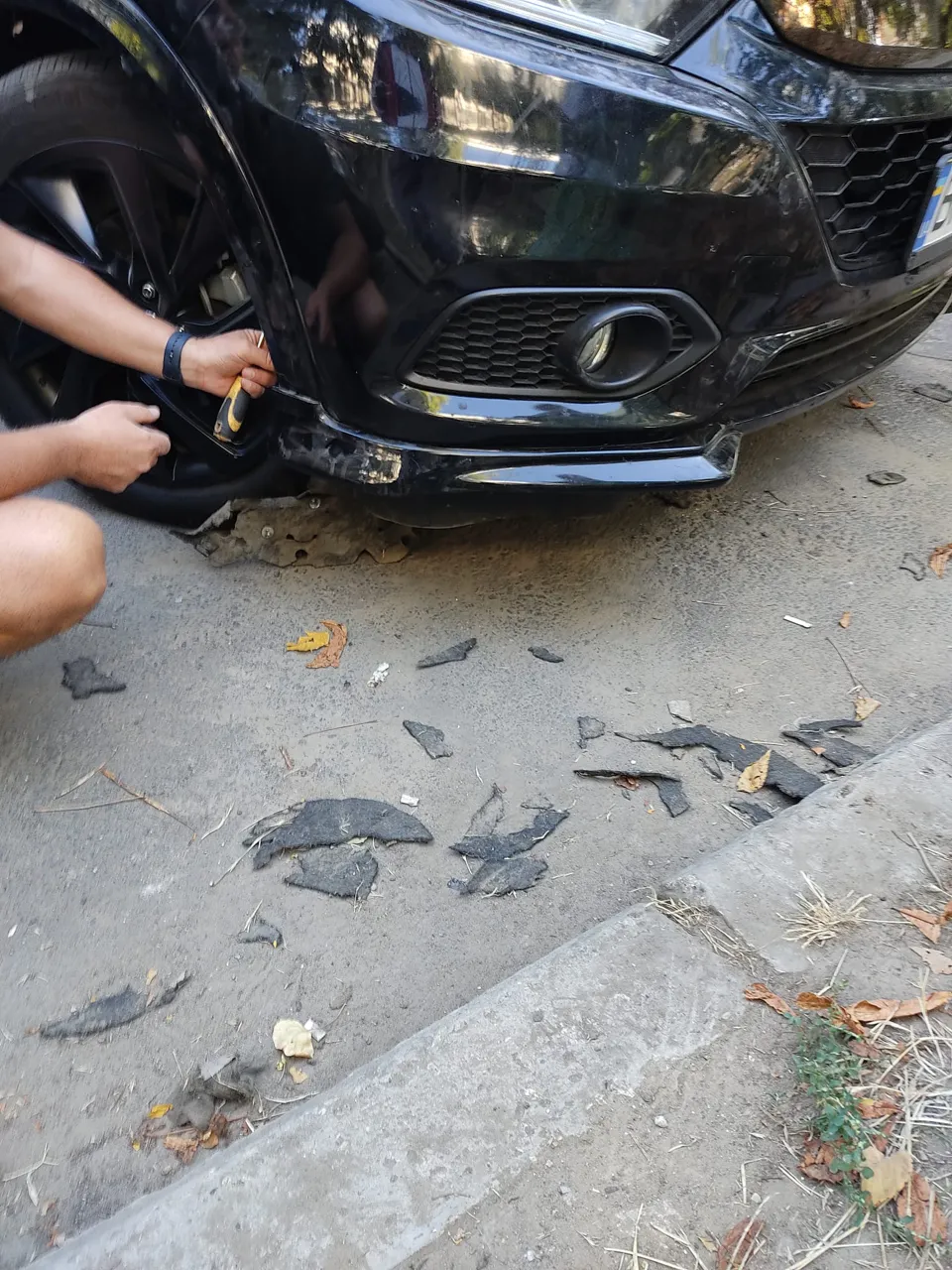 В Кишиневе дворняги растерзали бампер и погрызли провода припаркованного авто