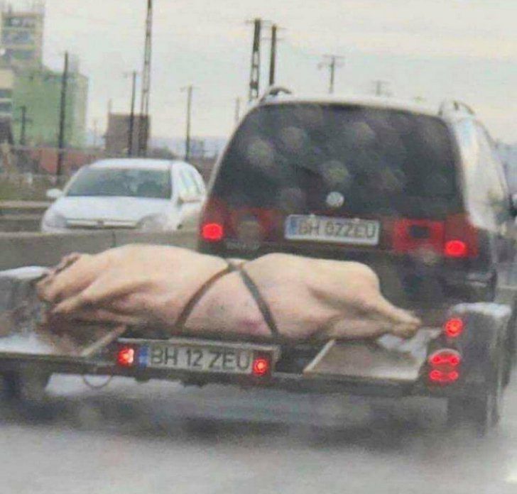 O fotografie surprinsă pe șoselele din România a stârnit hohote