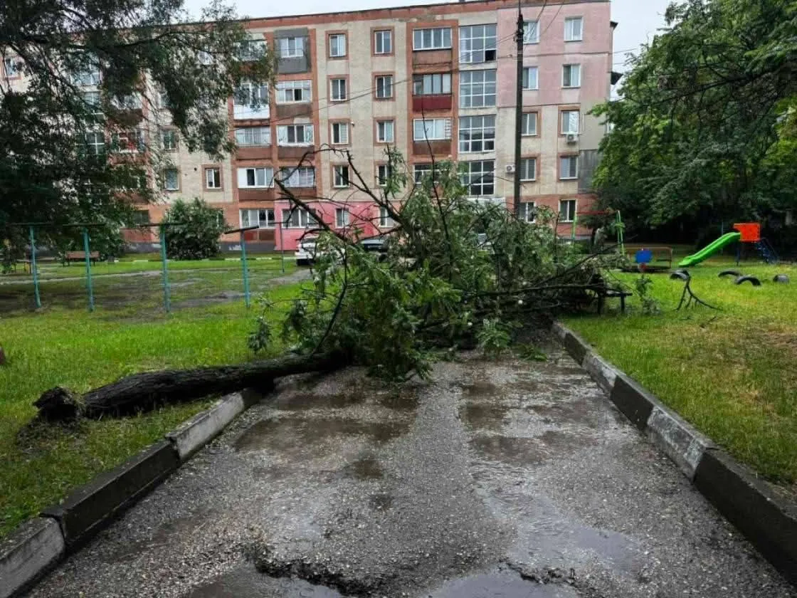 В Бельцах из-за ветра упали деревья: пострадал прохожий, повреждены автомобили
