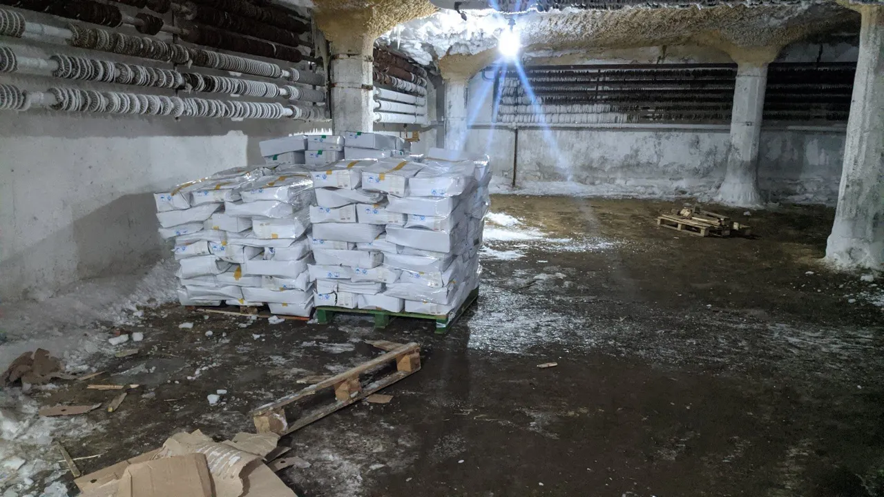 ANSA запретило к продаже 900 тысяч яиц с сальмонеллой и другие продукты