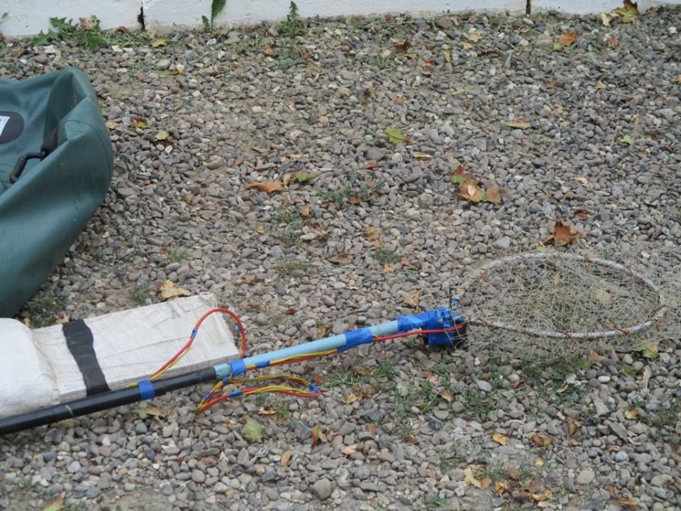 Браконьеры из Сорок оштрафованы на 9000 леев за ловлю рыбы электроудочкой
