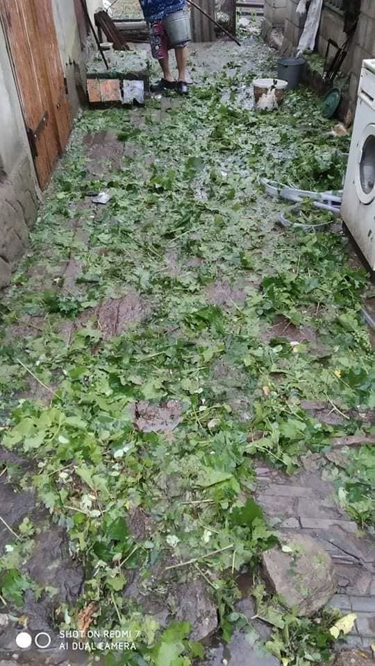 В Каушанском районе хозяйства терпят убытки из-за ливня с градом