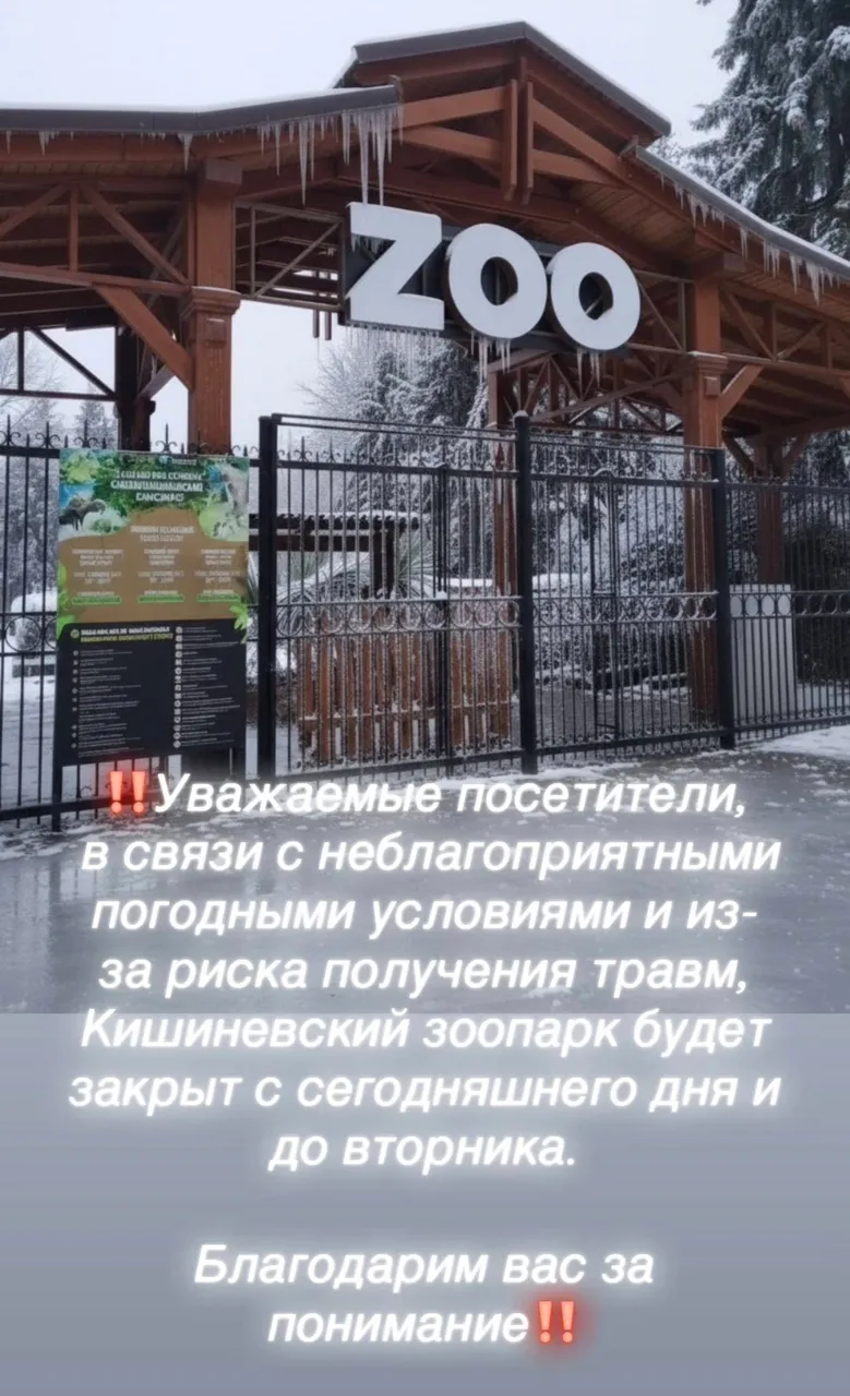 Кишинёвский зоопарк временно приостанавливает работу из-за гололеда
