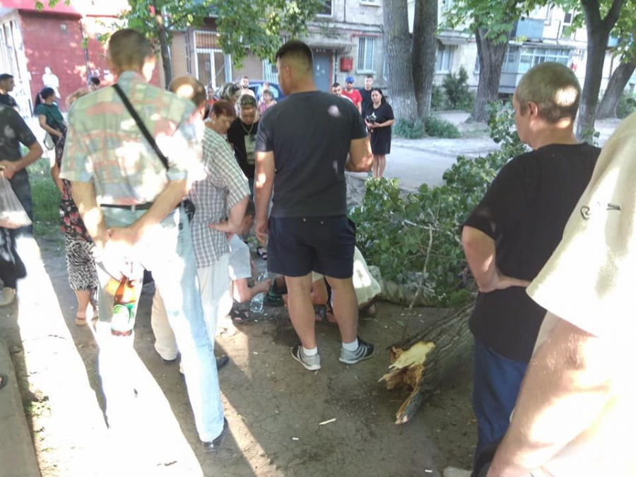 На Рышкановке дерево упало на мужчину