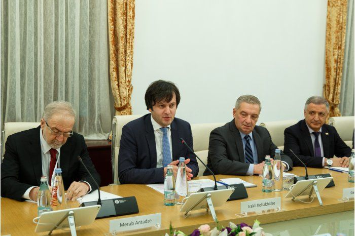 Молдова и Грузия объединят усилия в прохождении европейского пути