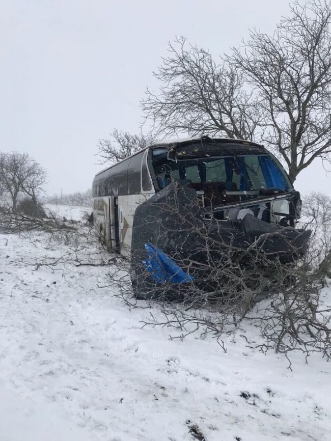 В Фалештском районе рейсовый автобус вылетел в кювет и врезался в дерево
