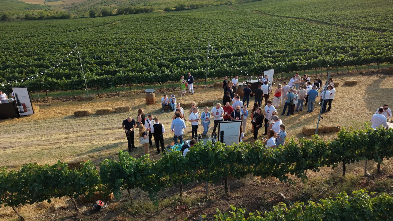 Radacini Wines — первая в Молдове винодельня с защищённым наименованием происхождением