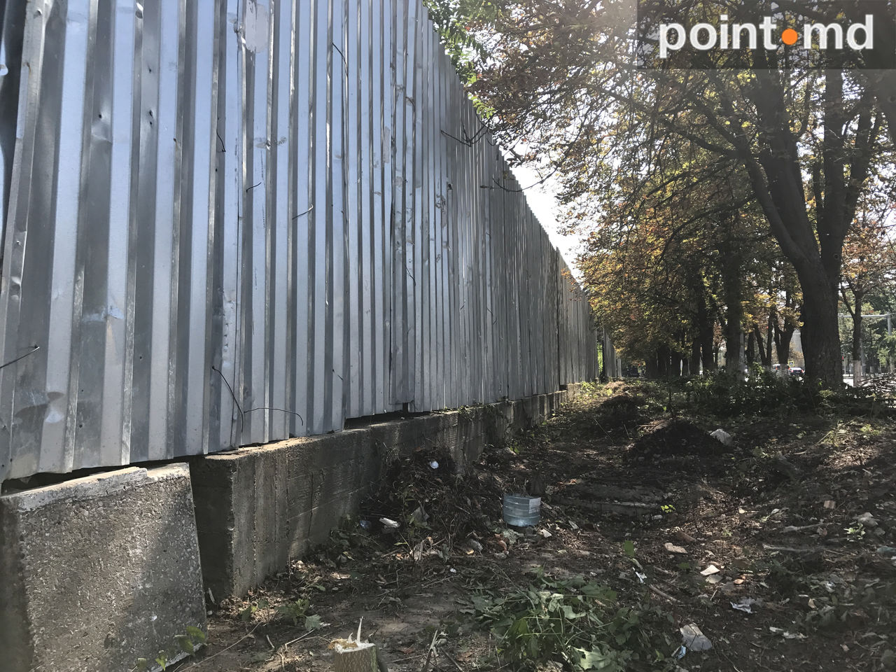 Curtea lui Dodon, micșorată: Gardul, mutat cu câțiva metri în interior