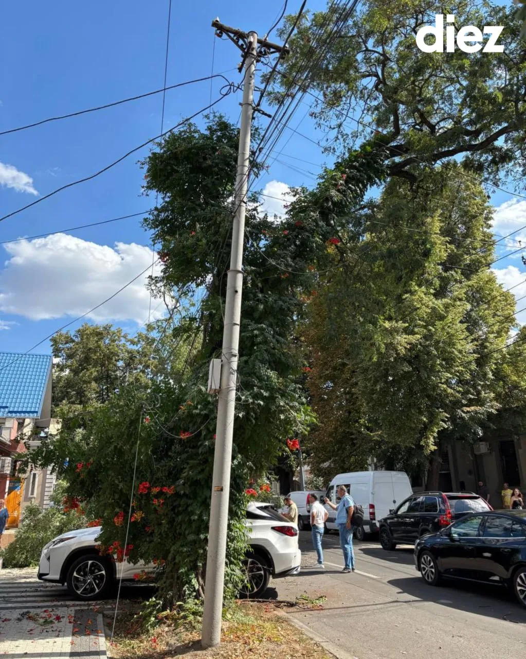 Un copac căzut a avariat cel puțin patru mașini în Capitală