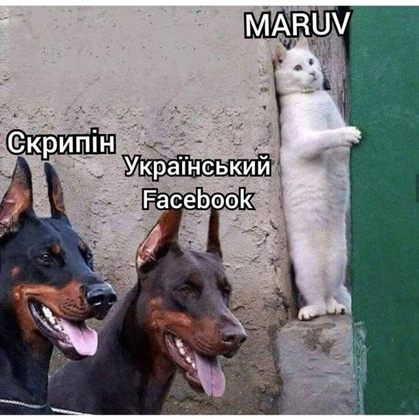 Скандал с Maruv высмеяли в Сети