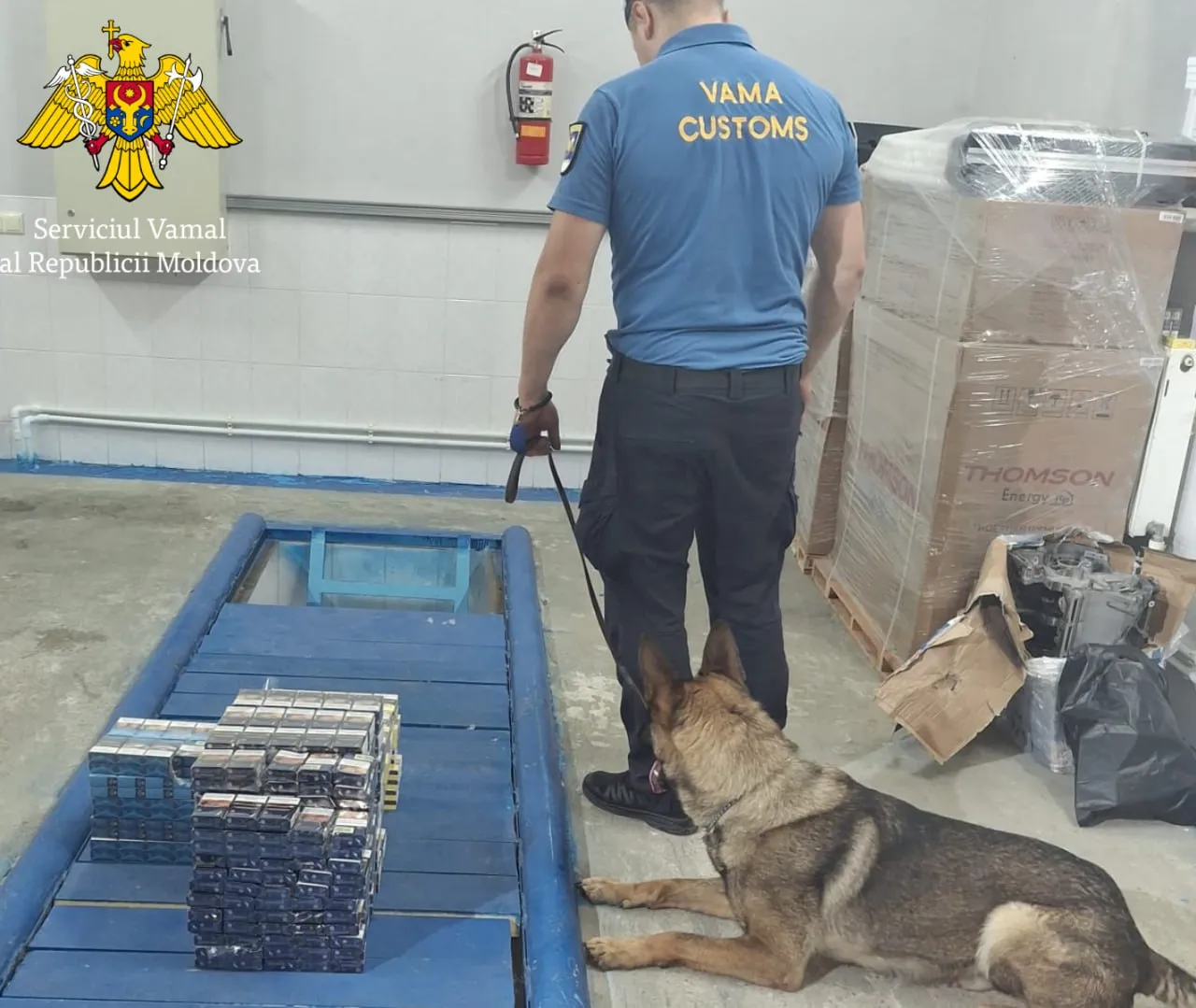 Служебная собака помогла выявить контрабанду сигарет на границе
