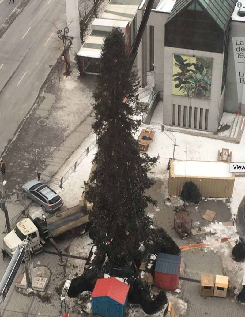 Drama bradului de Crăciun, la case mai mari: Pomul din Motreal de anul trecut, demontat
