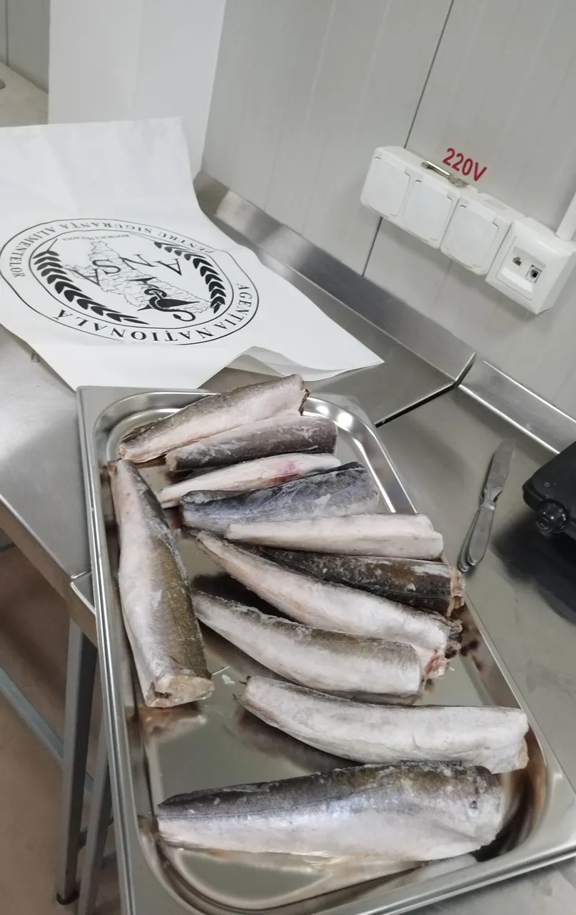 В Молдову пытались ввезти рыбу, зараженную паразитами