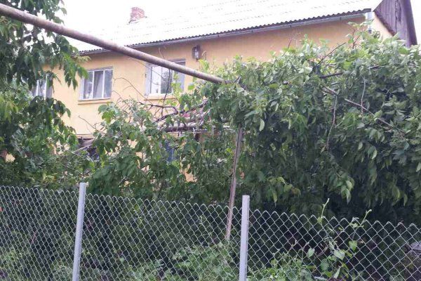 В Приднестровье ветер повалил деревья, опору ЛЭП и снес крышу зданию МВД
