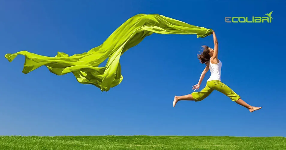 Ecocharge: Комплексное решение для мира электромобилей