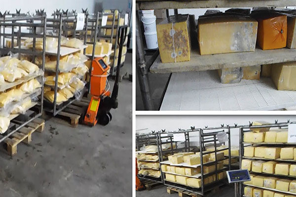 Poliţia a ridicat de la o fabrică de brânzeturi 500 kg de caşcaval alterat
