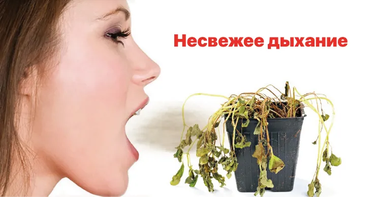 Революция в области гигиены полости рта: гель для десен Oramet с метронидазолом и хлоргексидином