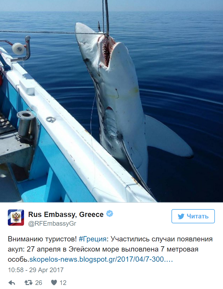 Греческие рыбаки выловили семиметровую акулу в Эгейском море
