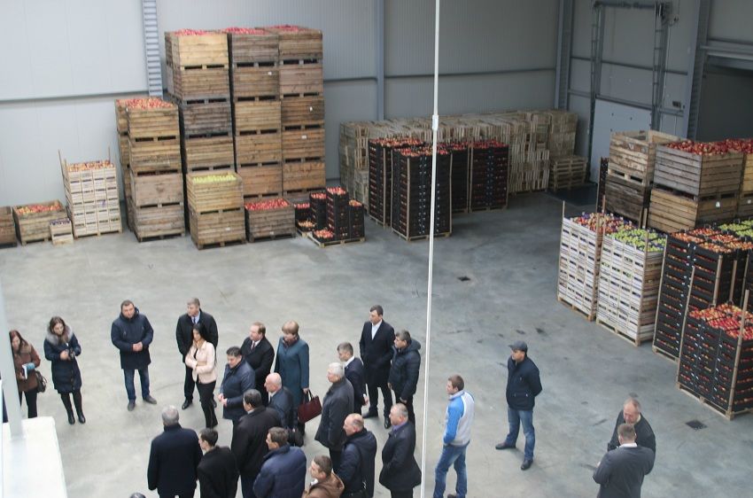 В промпарке "Единцы" открыли холодильный склад и зал по сортировке фруктов