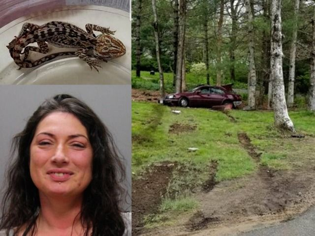 Accident ciudat: Șoferiţa era beată şi avea o șopârlă la piept