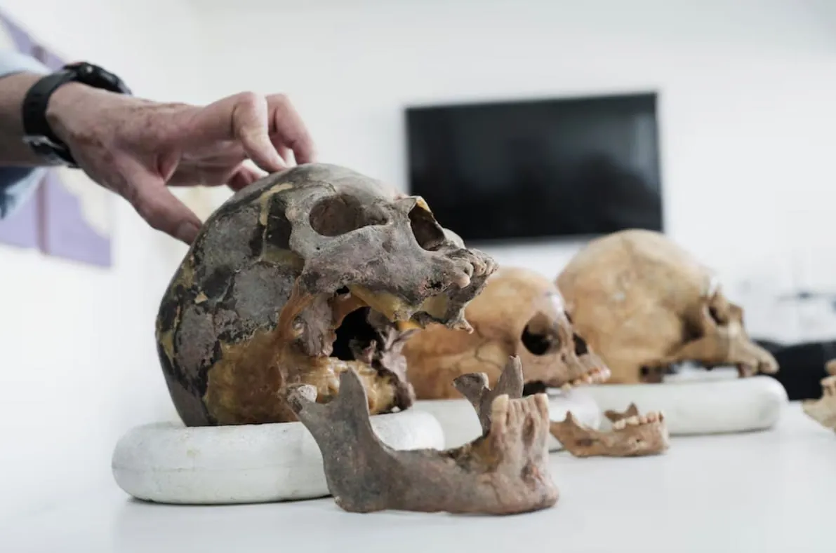 O ramură anterior necunoscută a rasei umane, descoperită în Columbia
