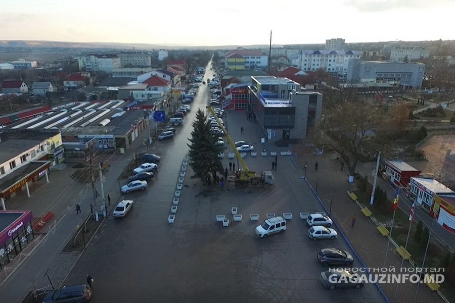 В Комрате установили 15-метровую ель стоимостью 20 тысяч леев