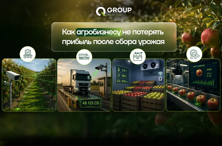 QGroup: Где агробизнес в Молдове теряет прибыль после сбора урожая: причины и решения