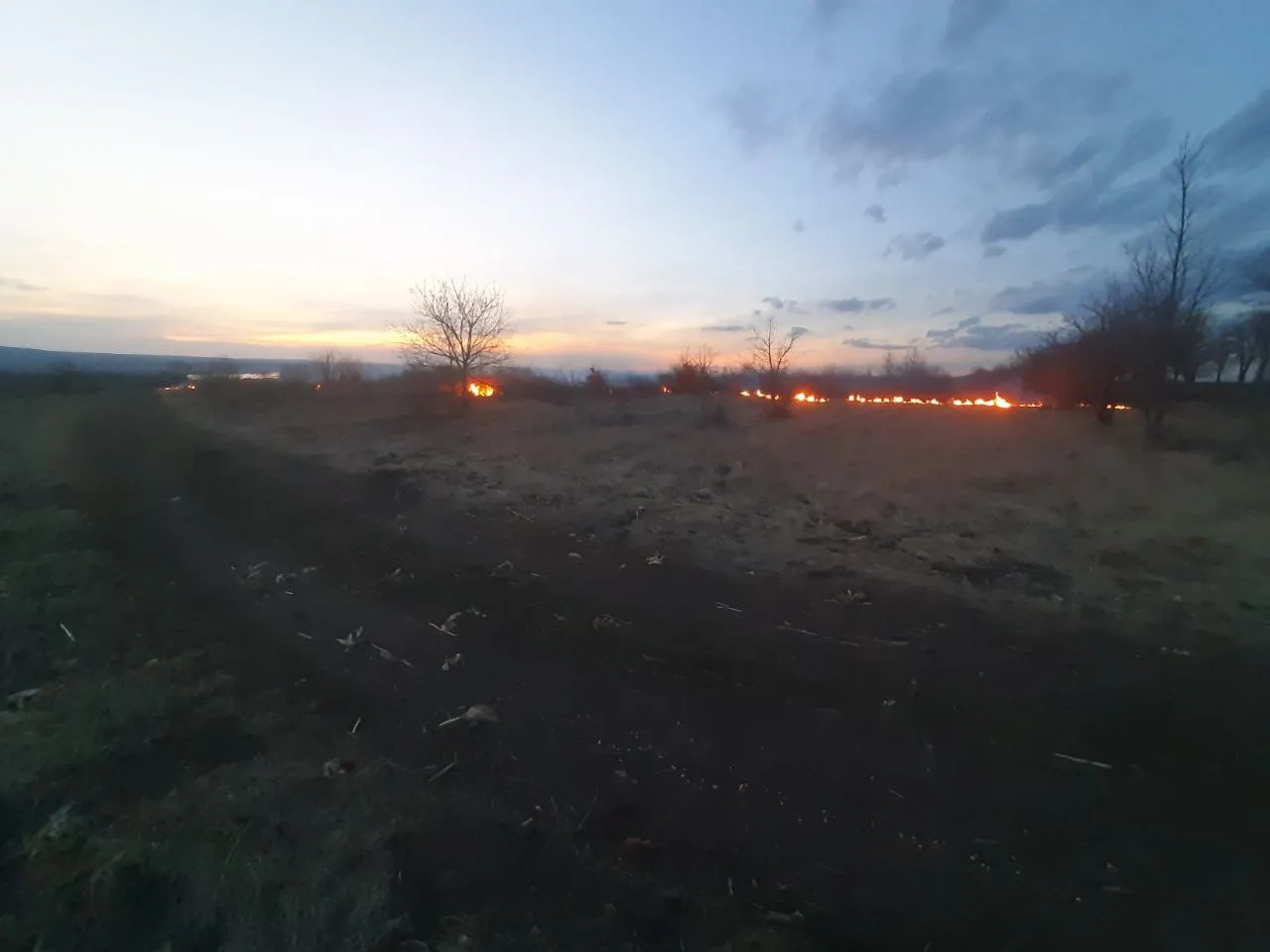 В приграничной зоне возникло три очага возгорания сухой растительности